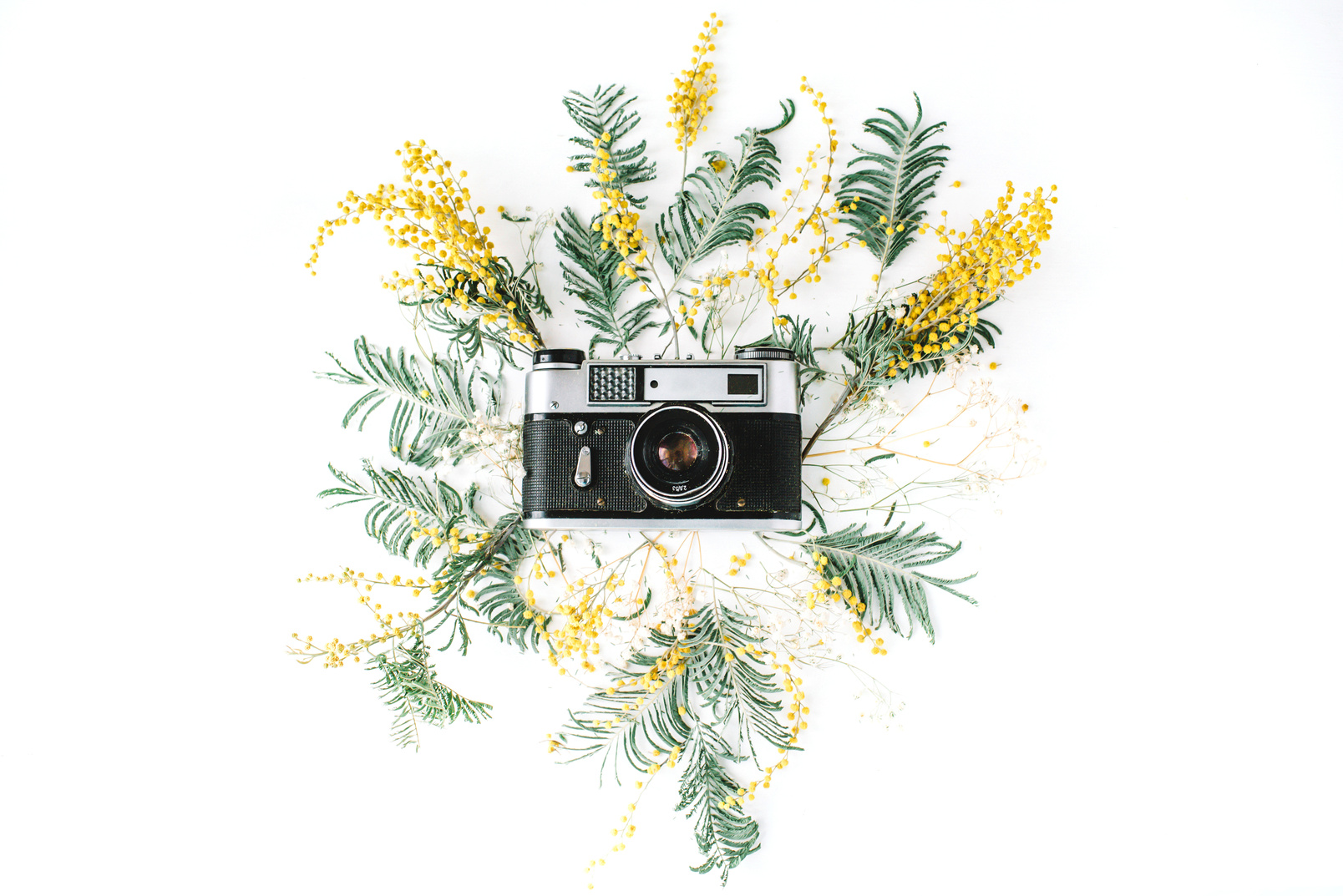 Camera Floral Flat Lay